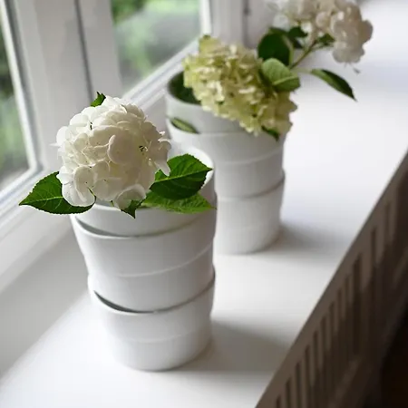 Hortensia Hüs